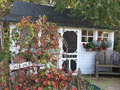 Apple Barn Gift Shop Merchandise | Hidden Cove Orchard
