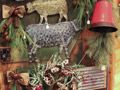 Apple Barn Gift Shop Merchandise | Hidden Cove Orchard