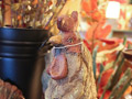 Apple Barn Gift Shop Merchandise | Hidden Cove Orchard