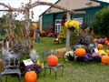 Apple Barn Gift Shop Merchandise | Hidden Cove Orchard