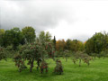 Hidden Cove Orchard - Minnesota Apple Orchard