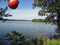 Hidden Cove Orchard - Minnesota Apple Orchard