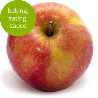 Cortland Apple