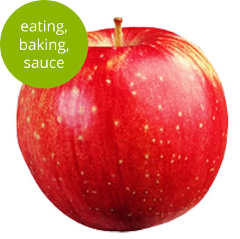 Haralson Apple