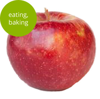 Keepsake Apple