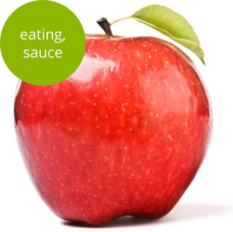 Northern Lights Apple