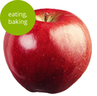Regent Apple