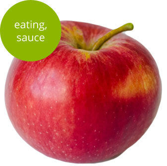 Sweet 16 Apple